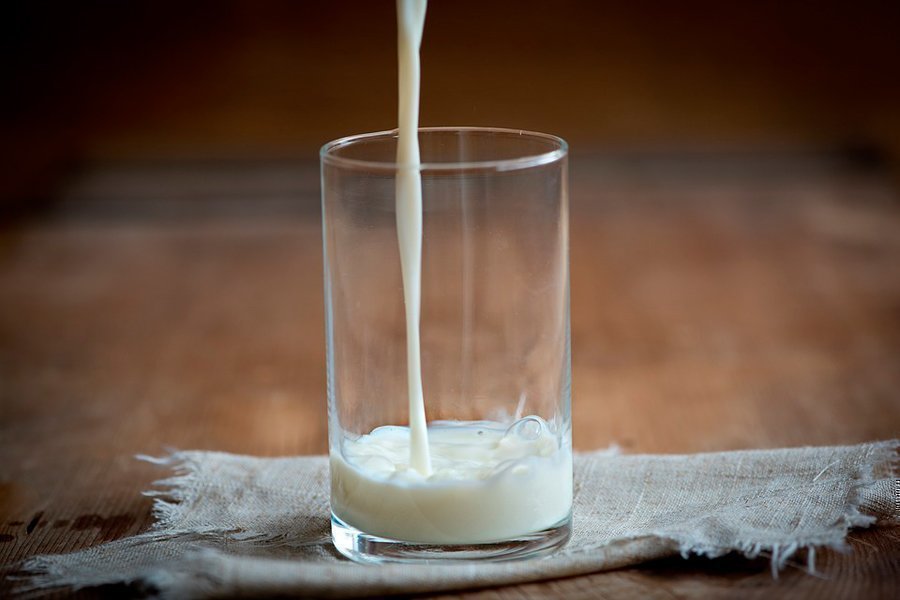 Pourquoi remplacer le lait de vache par du lait végétal maison ?